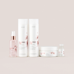 Condicionador | Blonde Oil | Blonde Oil | 250ml | Braé